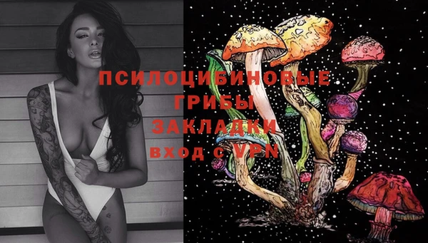 сатива Арсеньев