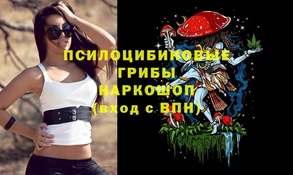 сатива Арсеньев
