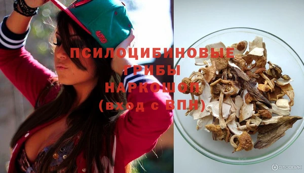 гидропоника Аркадак