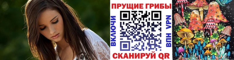закладка Нягань ссылка на мегу рабочий сайт Галлюциногенные грибы Psilocybe